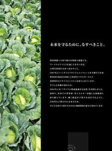 カタログ画像